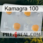 Kamagra 100 24